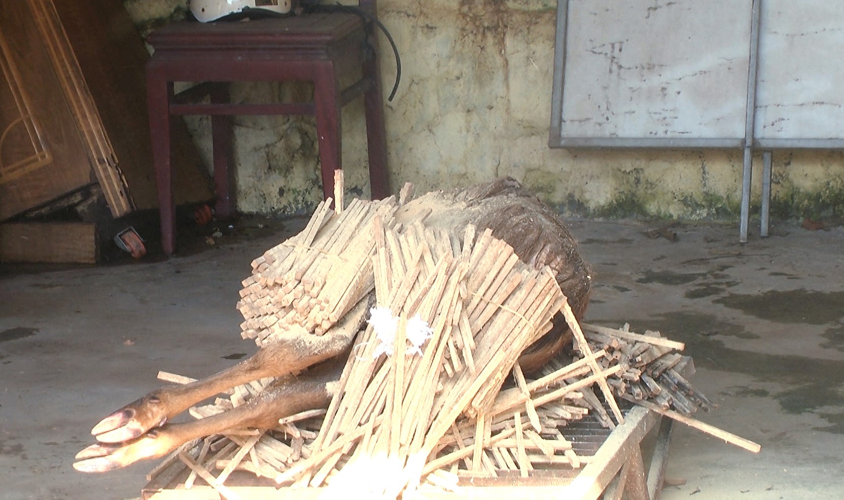 ngoan dunng.00_19_58_15.Still072